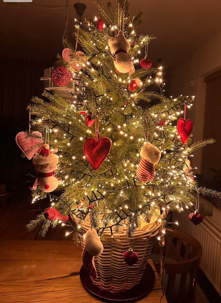 NIET ALLES BLINKT   1728